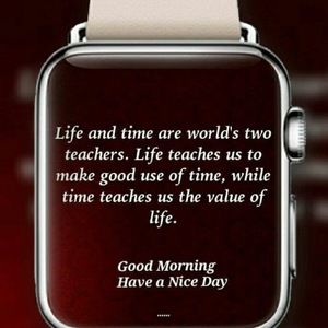 Meet your Posher, Matilda